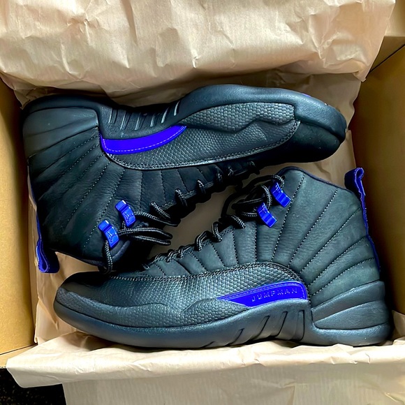 Air Jordan 12 Purple Concords